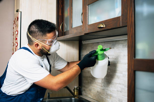 Best Cockroach Control Services  in Pecos, TX