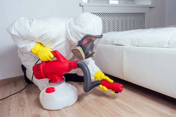 Best Best Pest Control Companies  in Pecos, TX
