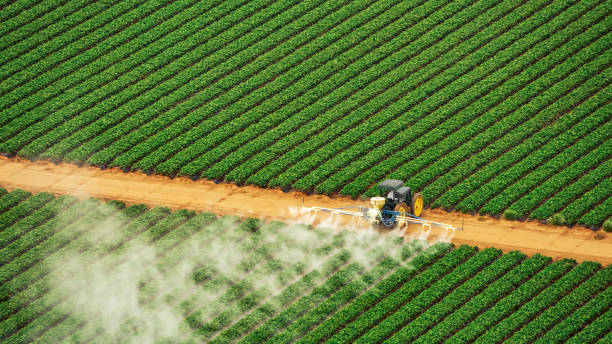 Best Termite Control Services  in Pecos, TX