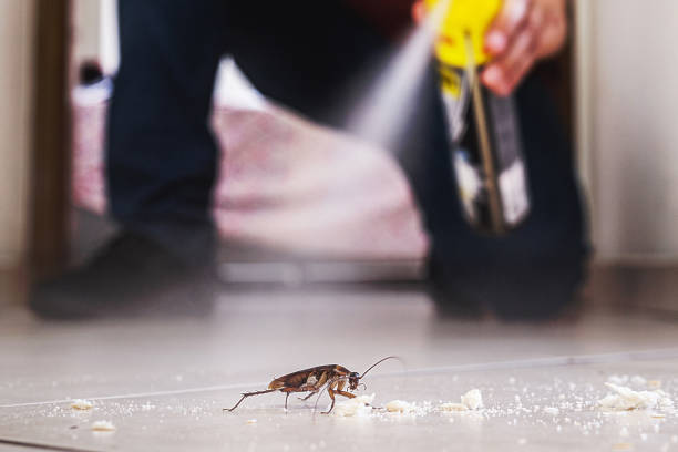 Best Best Pest Control Companies  in Pecos, TX